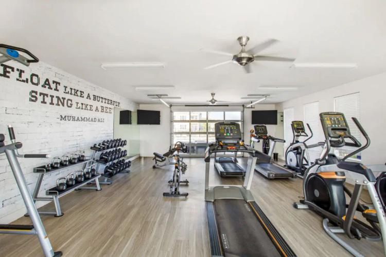undefined apartments for rent - image - 152662458.jpg