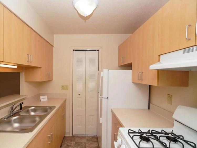 undefined apartments for rent - image - 1.jpg